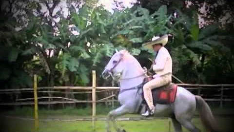 Montado en mi caballo EDUARDO SALINAS