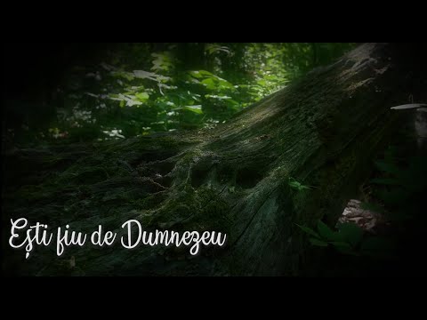Ești fiu de Dumnezeu – Tudor Oleniuc (Official Audio)