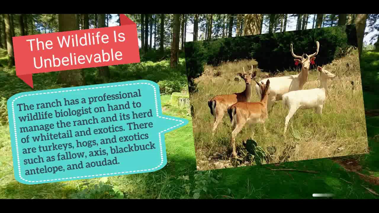 Dominion Lands | Dominion Properties