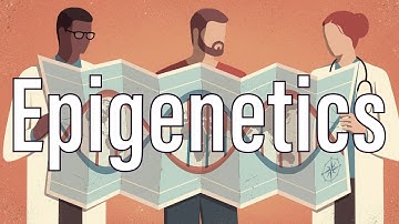 Epigenetics: Beyond Genetic Inheritance