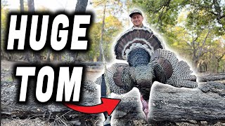 Hunting Turkeys in Mexico Mountains