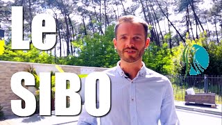 Le SIBO - Anthony Micheau Naturopathe