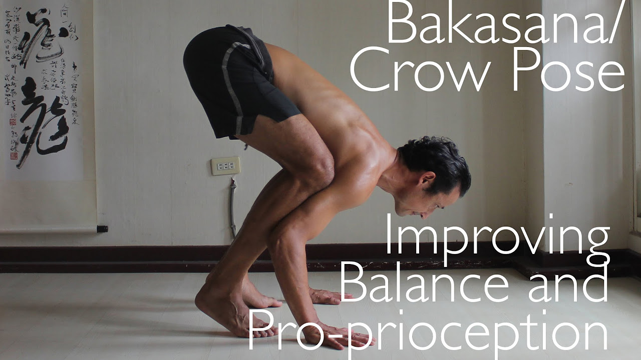 Yoga Flow To Prepare For Crow Pose - Sophie Boucher -Wellness TV - YouTube