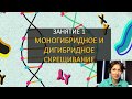 Занятие 1 | Моногибридное и дигибридное скрещивание