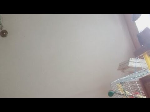 Блейд Блейд - YouTube