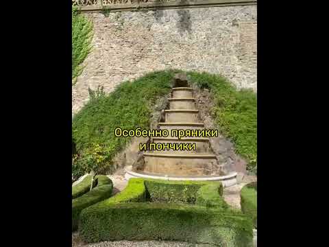 ПЯТЬ ИНТЕРЕСНЫХ ФАКТОВ