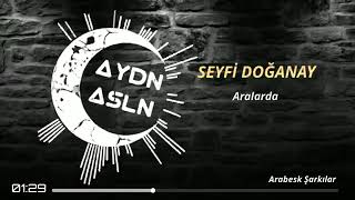 Seyfi Doğanay Aralarda