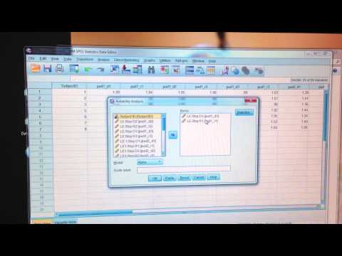 SPSS Negative Average Covariance - Variable Set (Ruth Dave)