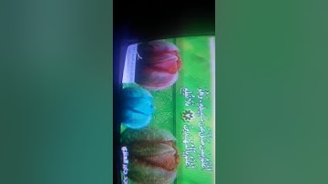 سورة ابراهيم + القلم للقرائ محمد علي + ماجد العنزي