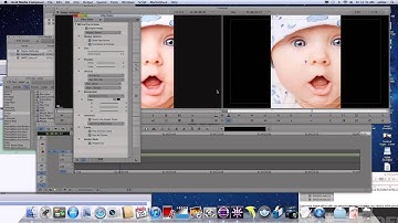 How to work with still frames in Avid