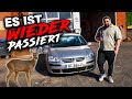 Zum dritten Mal… ich kann’s nicht fassen!😱