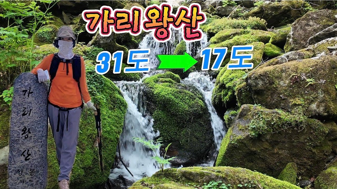 이른 여름을 날려버린 가리왕산/이끼계곡과 태고적 원시림/주연 9폭보다 더 주연같은 무명 7폭/장구목이 상봉 중봉 오장동 임도 원점회귀(6/13)