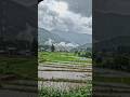 “When Rain Meets Peaceful Village Life”“Village Rain Vibes: Calm, Cozy & Beautiful”