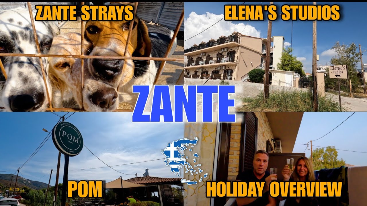 Zante: It's Time To Leave The Island - Zante Strays, Elena Studios, Pom & Holiday Overview