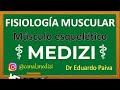 Clase 7 Fisiología - Contracción del músculo esquelético