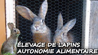 Élevage de Lapins - Autosuffisance alimentaire