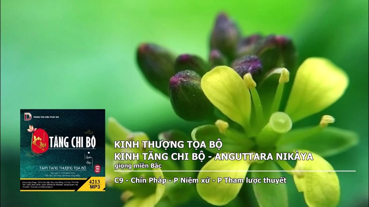 C9 – Chín Pháp – P Niệm xứ – P Tham lược thuyết giọng miền Bắc 