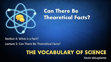 04.03. Can There Be Theoretical Facts?