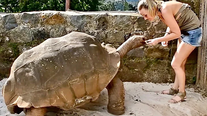 MAN AND BEAST - Part 44