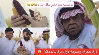 ذرة حمراء بالمملكة لاول مرة  ضاع علي الشهابي بحقل الذرة ?