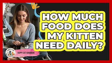 How Much Food Does My Kitten Need Daily? - Happy Cat Handbook