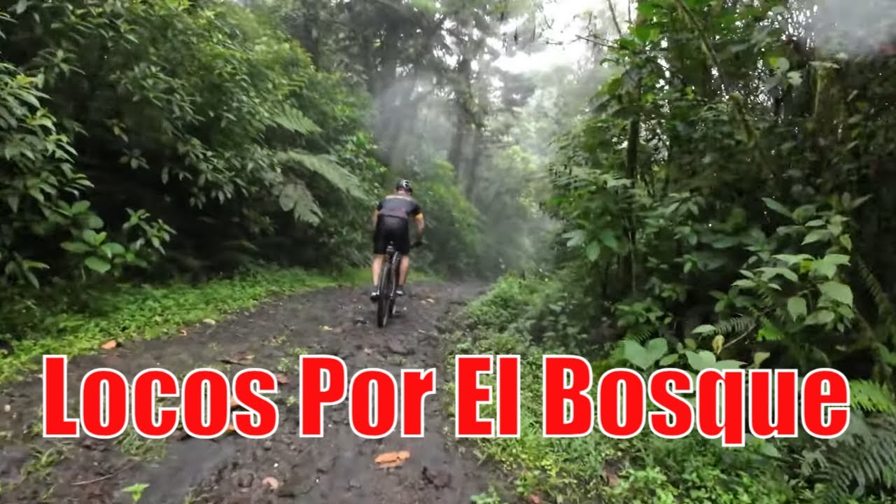 MTB de Montserrat a Locos por el Bosque | Ruta de Hoy