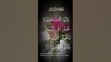 سورة الأنفال ياأيها الذين ءامنوا لاتخونوا الله والرسول وتخونوا أمناتكم وأنتم تعملون الاية ٢٧