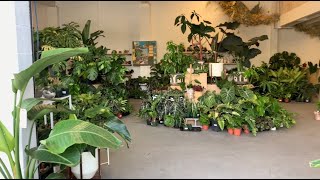 House Plant Shop Nursery Tour! Go Plant Shopping With Me! PDX: Arium, Gurtons, Pistils, Solabee! #2