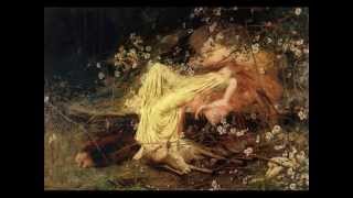 Andreas Vollenweider - Song of Isolde &amp; Passionata