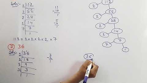 ICSE GRADE 4 MATHEMATICS Chspter 8 