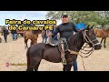 Feira de cavalos ( Equinos) de Caruaru PE  terça feira 20/10/2020 Luiz Pinto