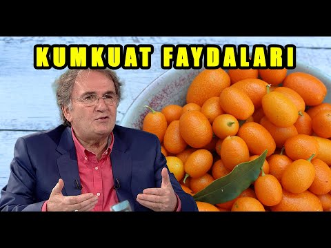 Kamkat, Kumkuat Faydaları / Zararları ve Yan Etkileri