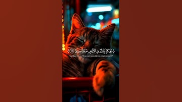 استخدموا الصوت 🖤🙂 | #تلاوة_هادئة #إسلام_صبحي #القرآن_الكريم #کرومات_قرآن