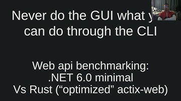 Web api benchmarking: .NET 6.0 minimal vs Rust (“optimized” actix-web)
