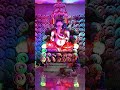 Ganesh chaturthi 💗#ganeshpuja #ganeshchaturthi #happyganeshchaturthi #trexvlogs