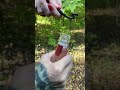 Omg it works!!! Forged Steel Bottle Opener #shorts