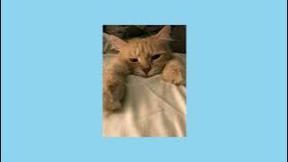 Notions - Rare occasions sped up  1 hour