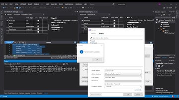 Microsoft SQL Server Database Project in Visual Studio 2019 (Getting Started)
