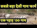          biggest khillar cow farming in india  agribusiness