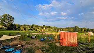 The DUCK ARRAY Upgrade // Whitt Acres
