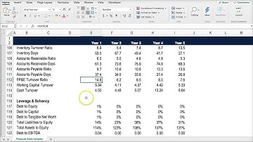 Chapter 14 Excel Ratio Analysis