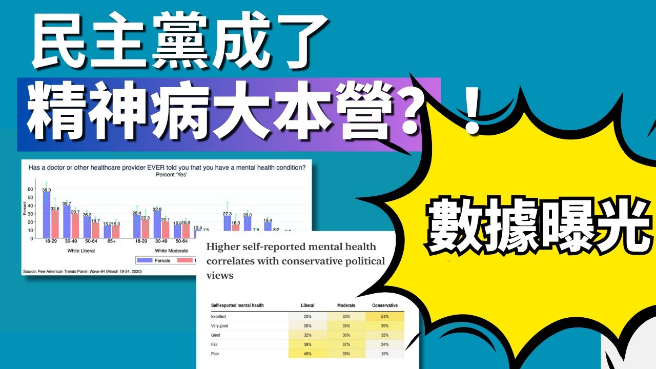 【統計數據驚爆】 民主黨變成精神病大本營?數據曝光!