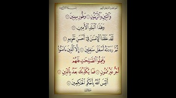 سورة ((( التين )))تراويح🤲