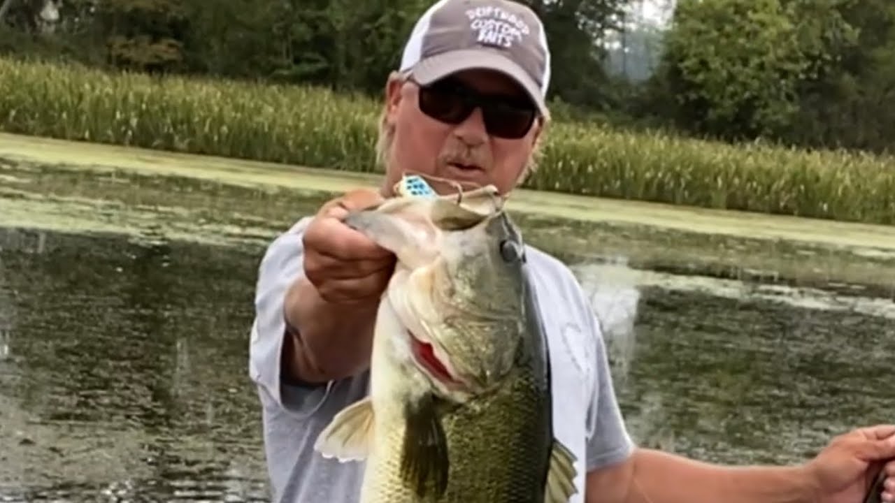 Catch BIG BASS on frogs: LEARN from the BEST - Billy Wheat 