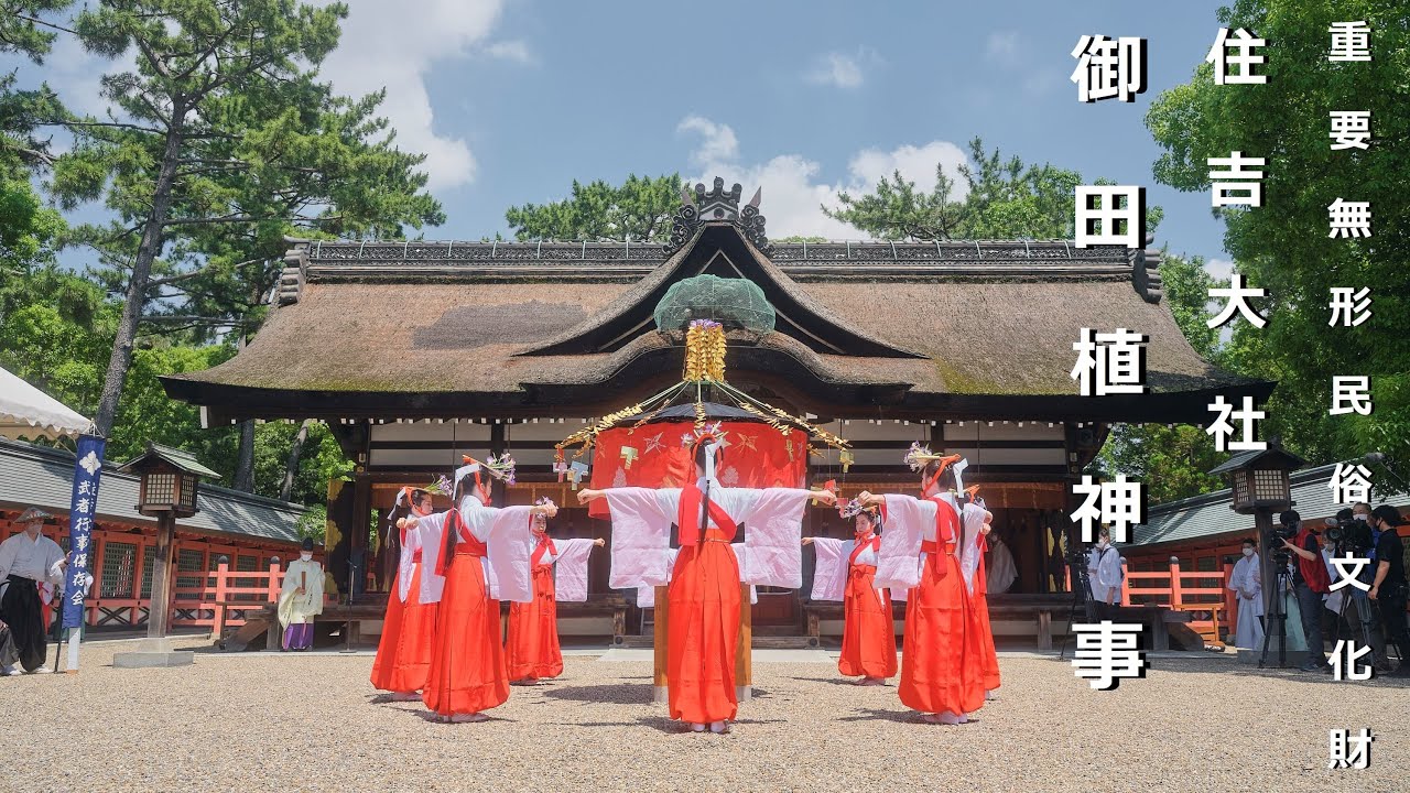 令和4年　住吉大社　御田植神事