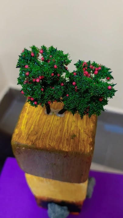 miniature-apple-tree-apple-tree-shortvideo-youtubeshorts-shortfeede