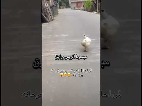 ماني متضايق لايك اشتراك بالقناه ليصلك كل جديد