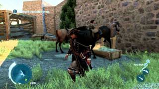 HORSE