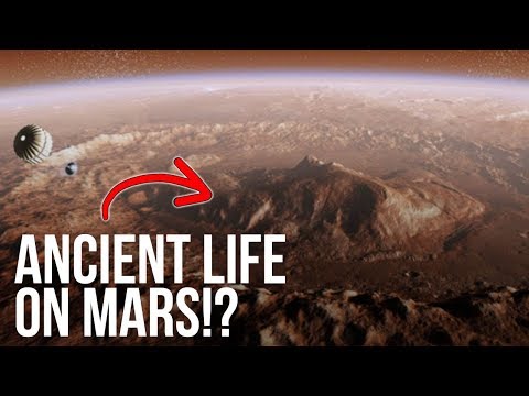 NASA Finds ORGANIC Material On Mars - Evidence of ANCIENT LIFE?