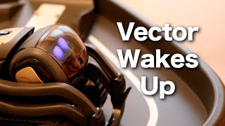 Anki Vector the Robot Wakes Up  First Look